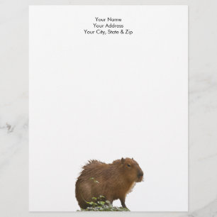 En-tête De Lettre Capybara