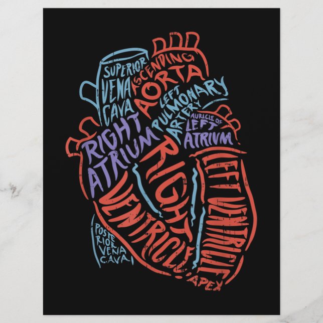 En-tête De Lettre Docteur en anatomie cardiologue Biologie Médicale (Devant)