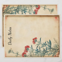 Ephémère de l'illustration de fleurs Yarrow