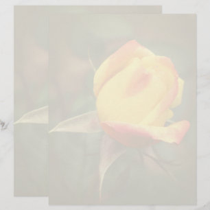 En-tête De Lettre Fleur de bouton de rose jaune