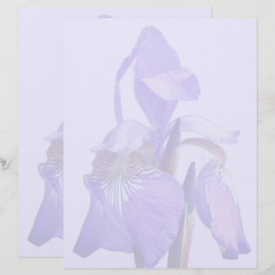 En-tête De Lettre Fleur d'iris à drapeau bleu violet 
