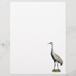 En-tête De Lettre Papier en-tête photo Sandhill Crane