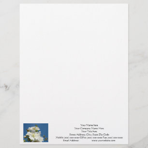 En-tête De Lettre Personnalisée Lettons Cerise Fleur bleu ciel personnalisé
