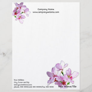 En-tête De Lettre Printemps Sakura/Fleurs de cerisiers roses