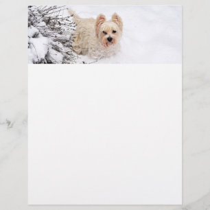 En-tête De Lettre Snow Westie Chien Photo Papier de papeterie