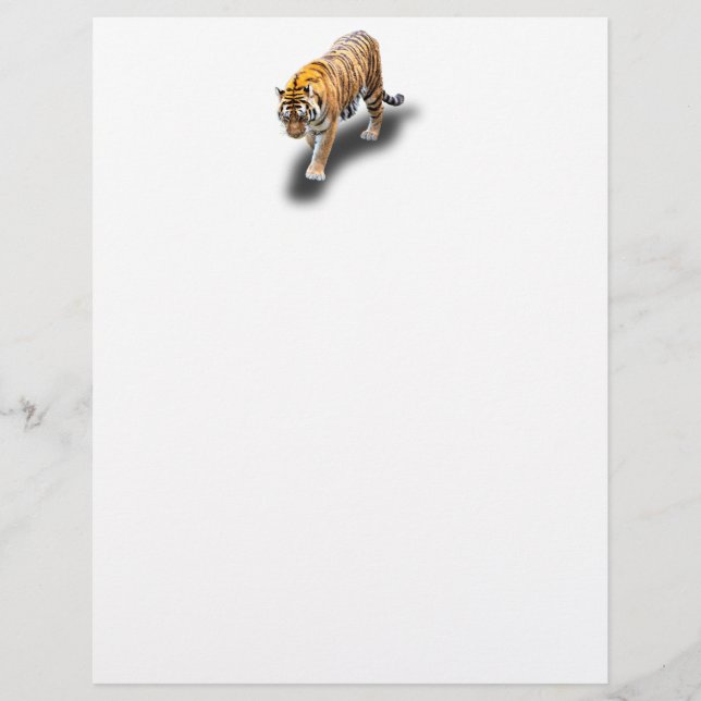 EN-TÊTE DE LETTRE TIGER DANS VOTRE DIRECTION (Devant)