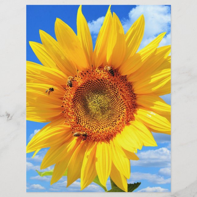 En-tête De Lettre Tournesol jaune et en-tête d'été des abeilles (Dos)