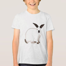 T-shirt Rabbit californien