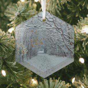 En Verre Hiver Wonderland Ornement de neige