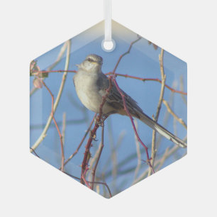 En Verre Ornement photo de Mockingbird du Nord