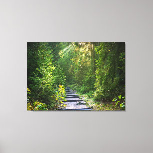 Enchanted Forest Path   Canvas Print