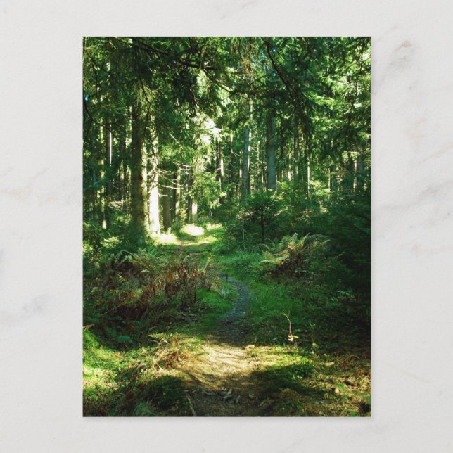 enchanted forest postcard (Front)