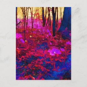 Enchanted Forest Postcard