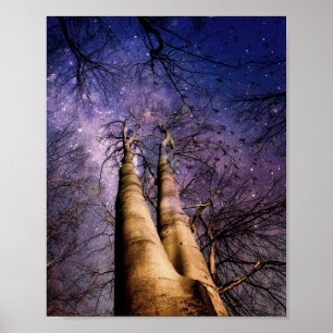 Enchanted Forest Poster