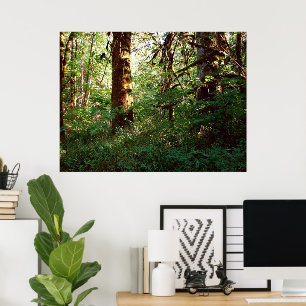 Enchanted Forest Poster Print
