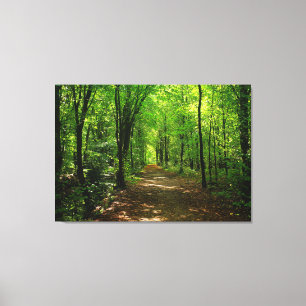 Enchanted Forest Road 5 Canvas Print