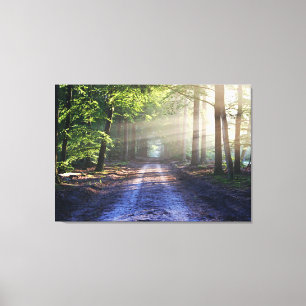 Enchanted Forest Road   Canvas Print