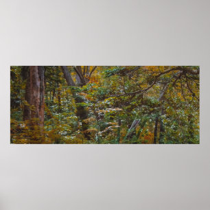 Enchanted Forest Trail  Poster