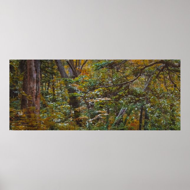 Enchanted Forest Trail  Poster (Front)