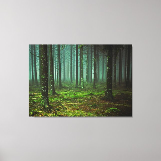 Enchanted Forest Woods  Canvas Print (Front)