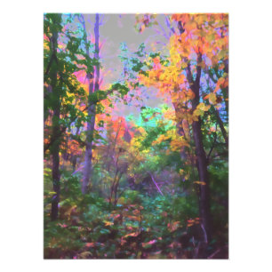 Enchanted Forrest Photo Print