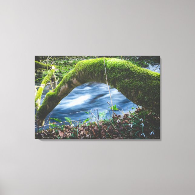 Enchanted magical forest canvas print (Front)