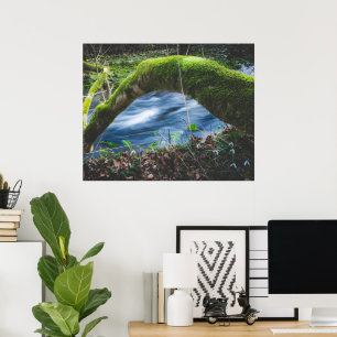 Enchanted magical forest poster