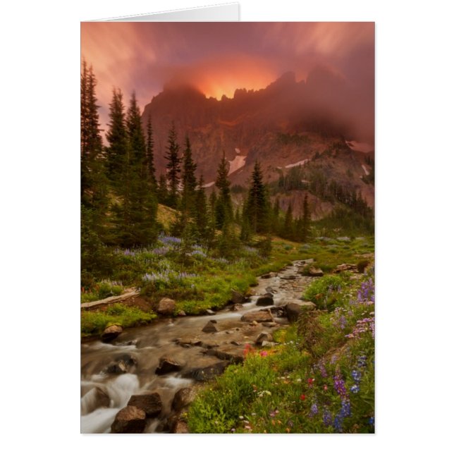 Enchanted Meadows (Front)