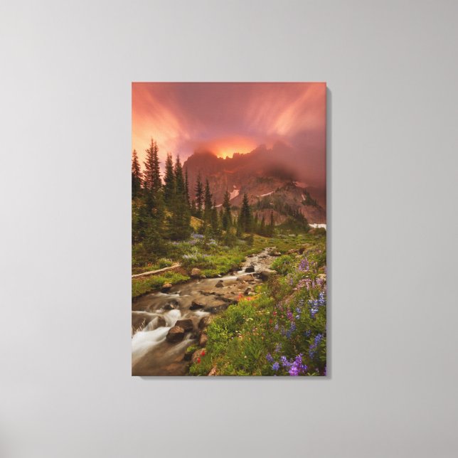 Enchanted Meadows Canvas Print (Front)