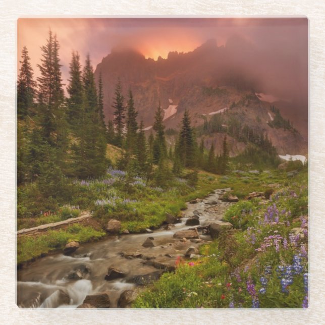 Enchanted Meadows Glass Coaster (Front)