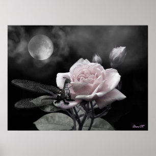 enchanted nights pink poster