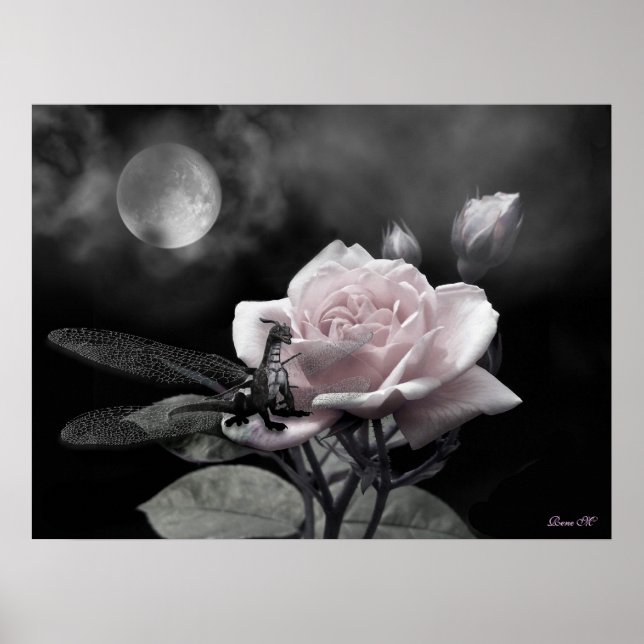 enchanted nights pink poster (Front)