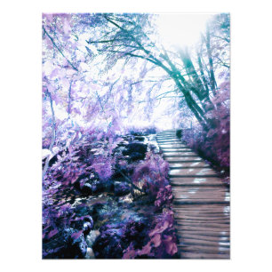 enchanted path photo print