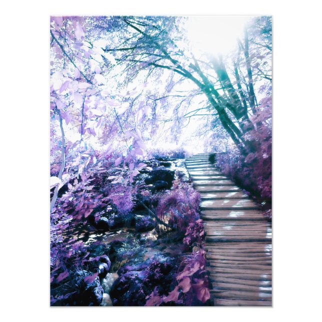 enchanted path photo print (Front)