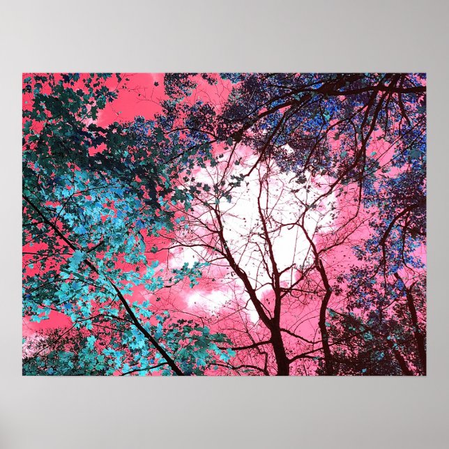 Enchanted   poster (Front)