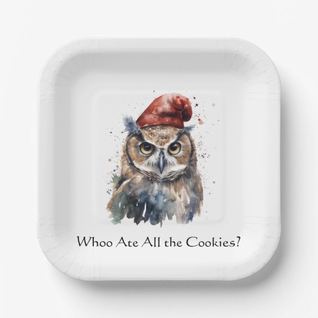 Enchanted Winter Owl, custom Paper Plate (Front)
