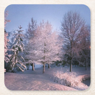 Enchanted Winter Wonderland Coasters