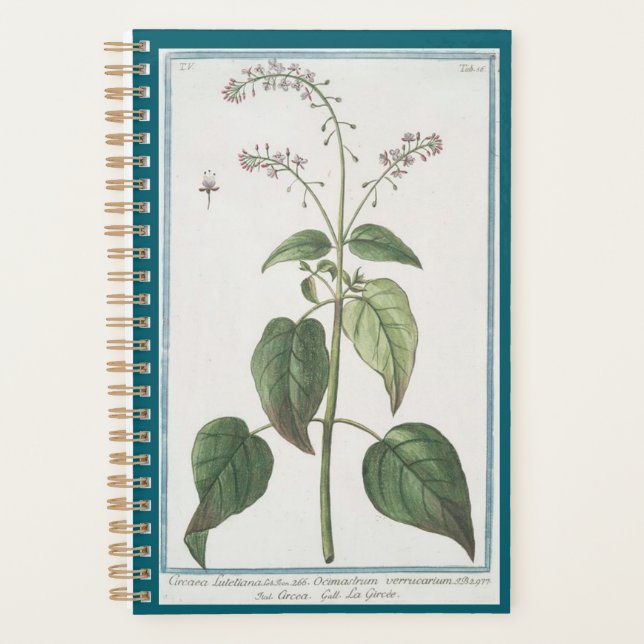 Enchanter's Nightshade planner (Front)