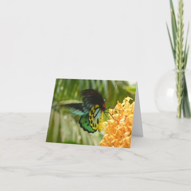 Enchanting Butterfly Card (Front)