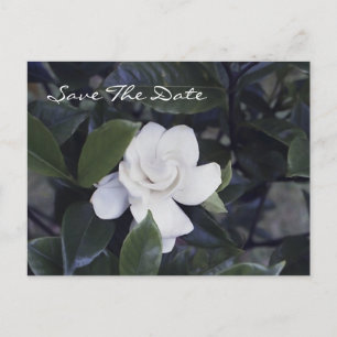 Enchanting Gardenia Save The Date Postcard