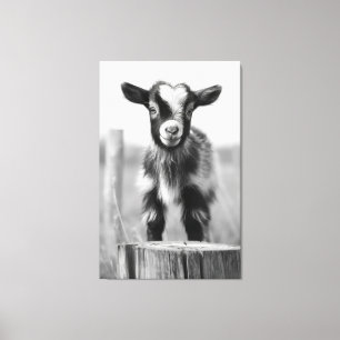 Enchanting Monochromatic Tranquil Baby Goat  Canvas Print