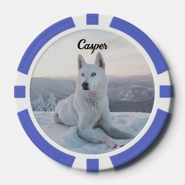 Enchanting White Husky Dog in the snow Poker Chips (Front)