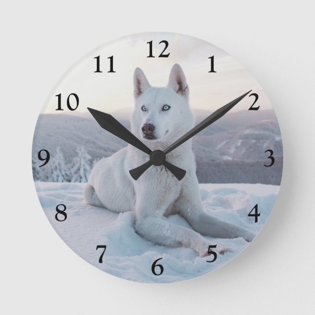 Enchanting White Husky Dog in the snow Round Clock (Front)