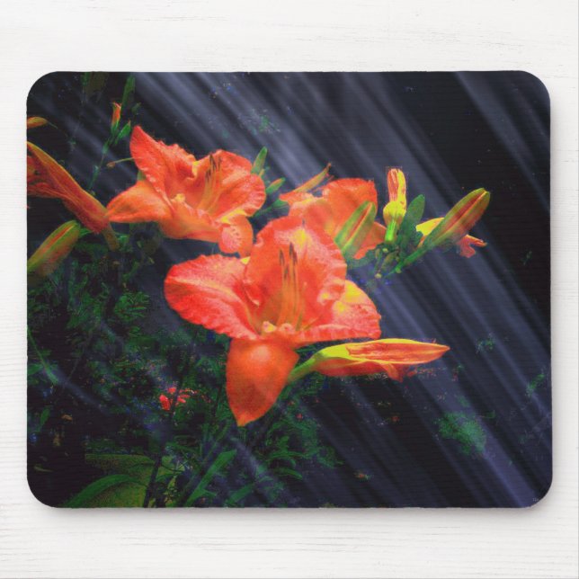ENCHANTMENT  MOUSEPAD (Front)