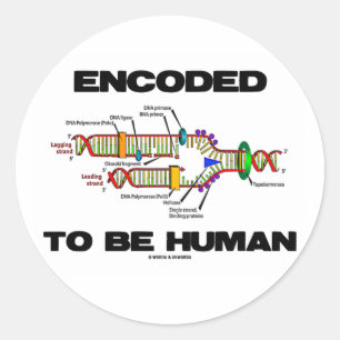 Encoded To Be Human (DNA Replication) Classic Round Sticker