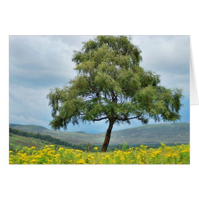 Encore seul (Devant horizontal)