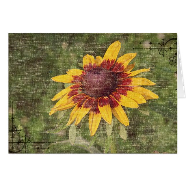 Encore une Fleur (Devant horizontal)