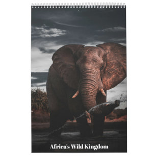 Encounters in Africa's Wild Kingdom, Calendar