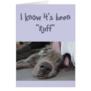 Encouragement/ Bien Se Faire Mignonner Grand Chien