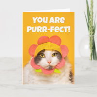 Encouragement Cute Cat in Flower Hat Humour